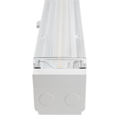 Trunking Home Thumbnail