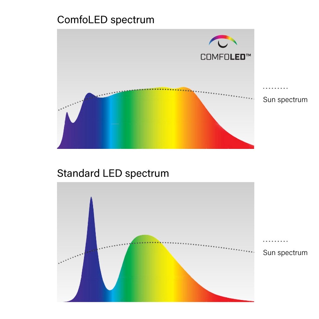 ComfoLED-Purple-LED-Blue-LED.jpg#asset:77389