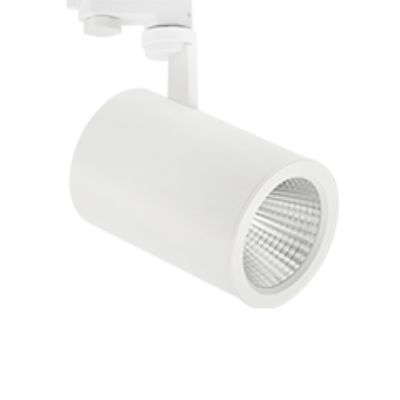 Spotlight Venice Home